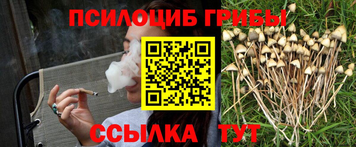 Галлюциногенные грибы Psilocybine cubensis Сунжа