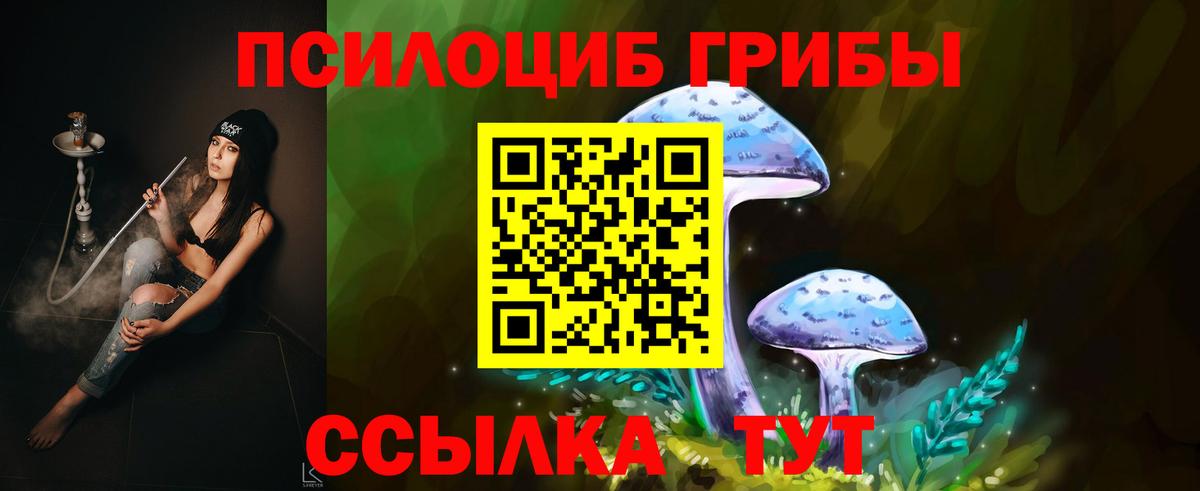 что такое наркотик  Псилоцибиновые грибы мухоморы  Вход с VPN  Сунжа 